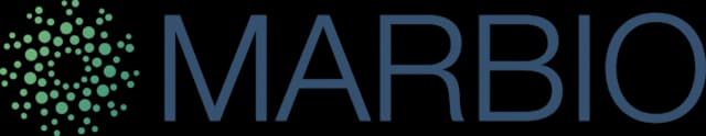 Industrie logo 32
